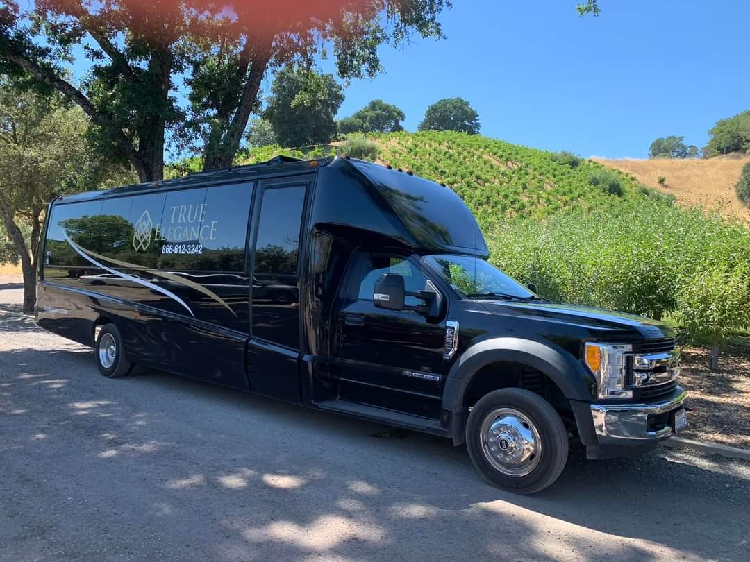 Executive mini coach in a vineyard